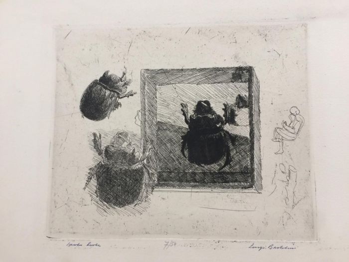 Scarabeo Ercole by Luigi Bartolini - Modern Artwork