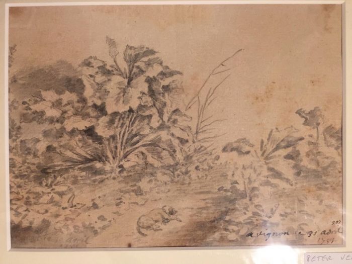 Dog with plants in the garden by Jan Peter Verdussen