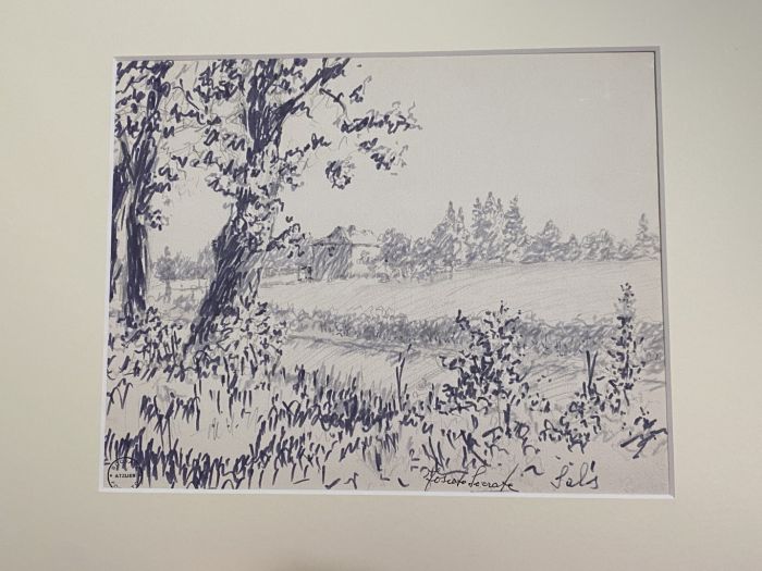 "Bush"  is an original China Ink drawing on ivory-colorated cardboard by Socrate Foscato.