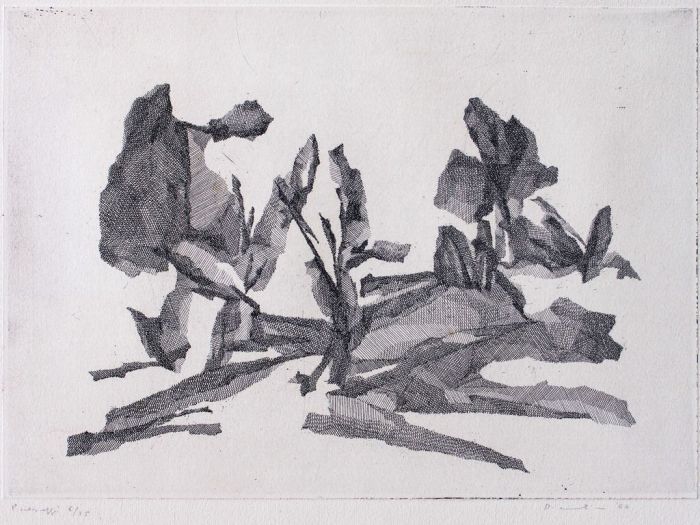 Landscape is an original etching realized by Fiorella Diamantini, in 1960.