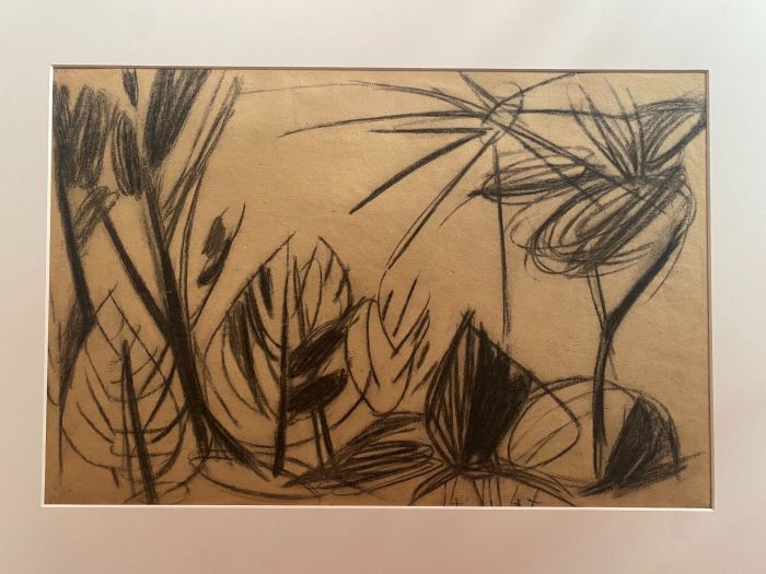 Plants and Sun
