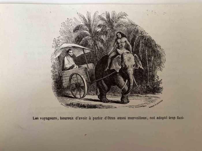 The Voyage
