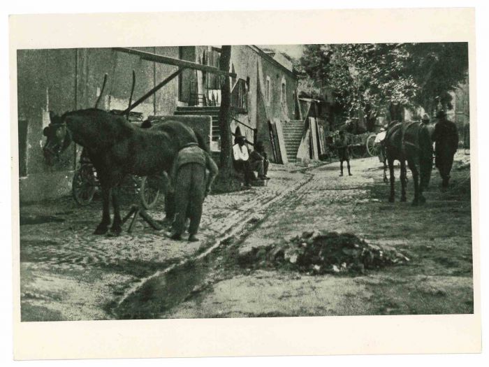 Country Life Of  Rome - Vintage Photograph