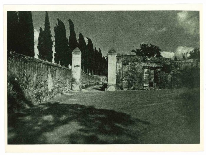 View Of Rome - Vintage Photograph   
