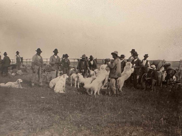 The Old Days  Photo - Huntsmen with Dogs