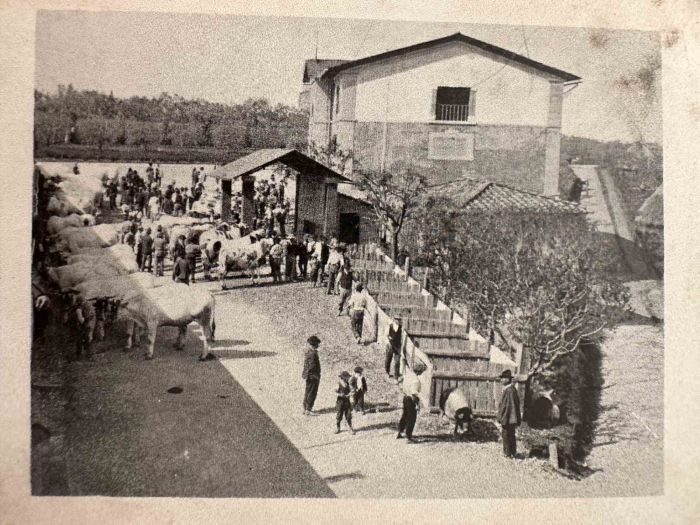 The Old Days - Historical Photo    