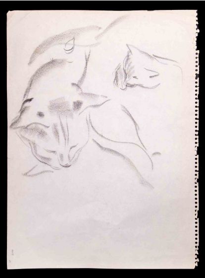 Sleeping Cats