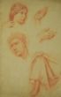 Anatomical Studies by n.a.
