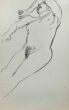 A Lying Down Nude