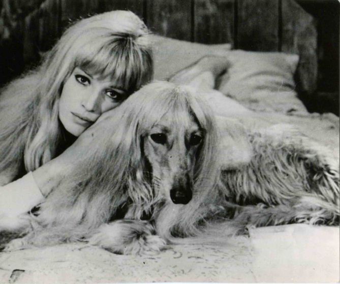 Vintage Portrait of Monica Vitti - Original Photographs