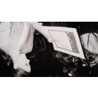 Portrait of Ornella Muti while Getting the "Donatello"