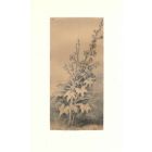 Flora Study