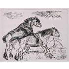 Horses in Love
