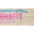 Untitled - Pink And Blue
