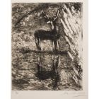 Le Cerf se Voyant dans l'Eau