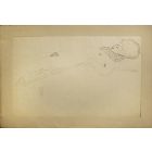 Female Nude Lying with Scarf