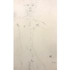 Standing Male Nude
