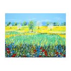 Flowery Meadow