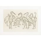 Storks And Flamingos