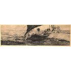 Venus in Muschelwagen