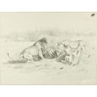 After the Hunt