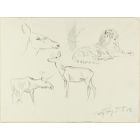 Study of Animals