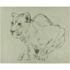 Crouched Lioness and Rabbits
