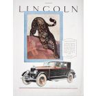 Lincoln Souplesse