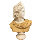 Bust of Apollo 