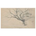 Tree and House
