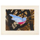 Oiseau Bleu