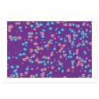 Brownian Motion