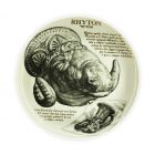 Rhyton - for Martini & Rossi