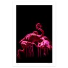 Flamingos