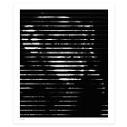 White Lines