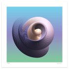 Spiral Curves