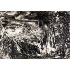 Black And White Landscape