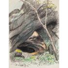 The Cave