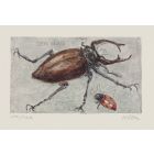 Insects