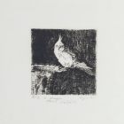 Parrot