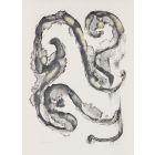 Sea Horse