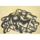 The Gloves