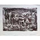 Horses