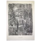 Texture Profuse