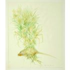 Flowers's Composition
