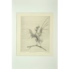 Bird on the Branch