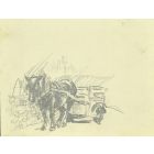 Draft Horse
