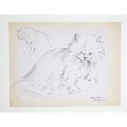 The Cat