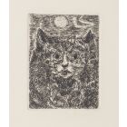 The Cat