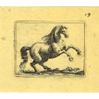 The Horse